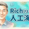 Rich（リッチ）人工海綿